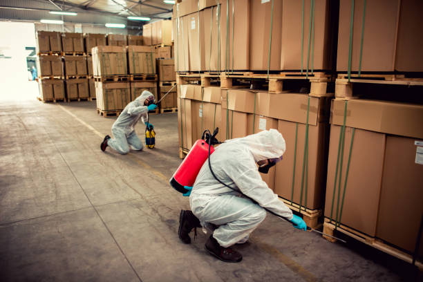 Best Best Pest Control Companies  in Amherst, VA