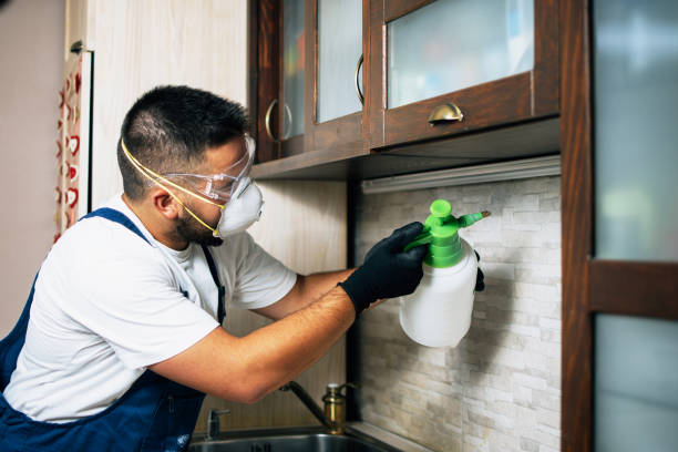 Best Affordable Pest Control Services  in Amherst, VA