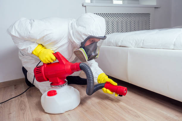 Best Affordable Pest Control Services  in Amherst, VA