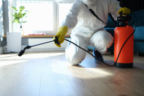 Wasp Removal Services in Amherst, VA