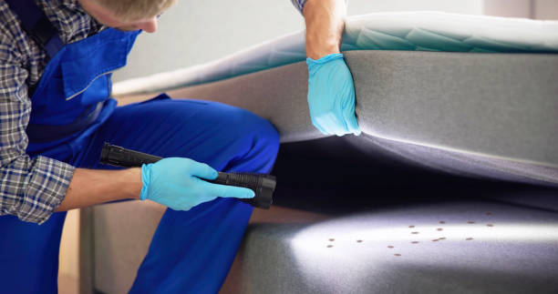 Best Bed Bug Extermination  in Amherst, VA