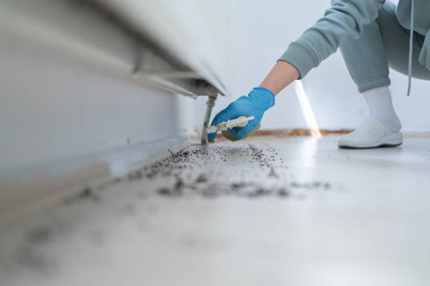 Best Pest Prevention Services  in Amherst, VA